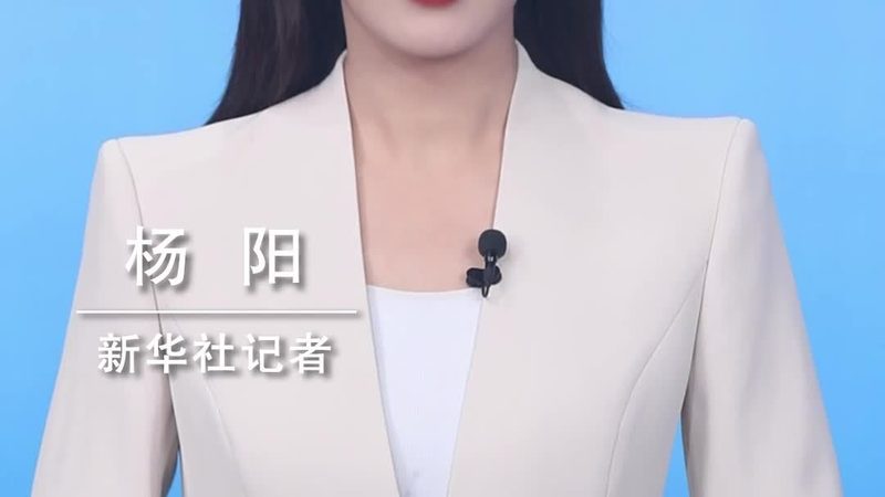 外贸SaaS平台：揭秘其背后的技术架构与选型要点